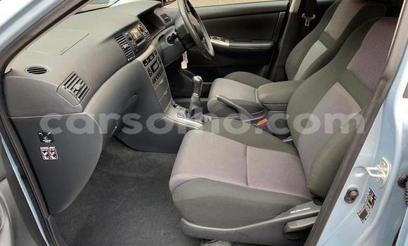 Acheter Occasion Voiture Toyota Corolla Autre à Mohale's Hoek, Mohale's Hoek Acheter Occasion Voiture Toyota Corolla Autre à Mohale's Hoek, Mohale's Hoek