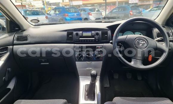 اشتري مستعمل Toyota Runx White سيارة في Maseru في Maseru اشتري مستعمل Toyota Runx White سيارة في Maseru في Maseru