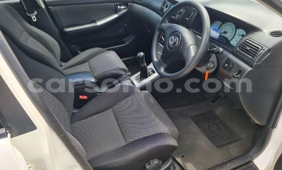 اشتري مستعمل Toyota Runx White سيارة في Maseru في Maseru اشتري مستعمل Toyota Runx White سيارة في Maseru في Maseru