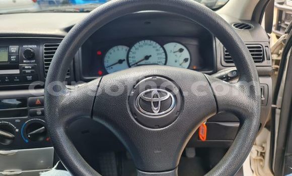 اشتري مستعمل Toyota Runx White سيارة في Maseru في Maseru اشتري مستعمل Toyota Runx White سيارة في Maseru في Maseru