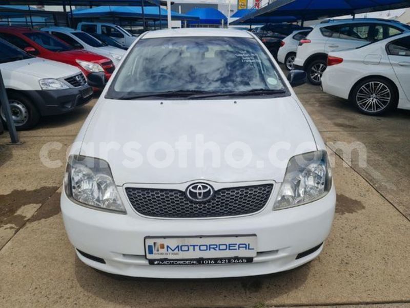 Big with watermark toyota runx maseru maseru 24371