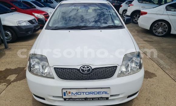 اشتري مستعمل Toyota Runx White سيارة في Maseru في Maseru اشتري مستعمل Toyota Runx White سيارة في Maseru في Maseru
