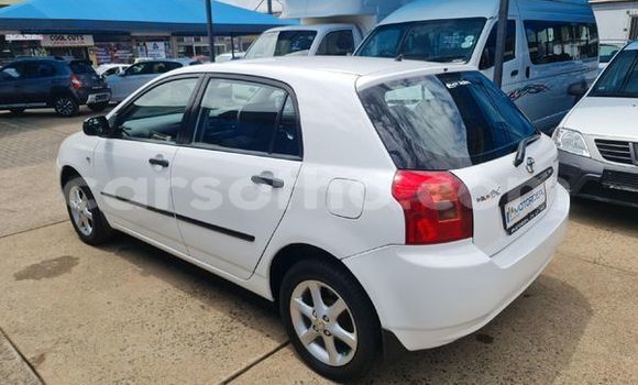 اشتري مستعمل Toyota Runx White سيارة في Maseru في Maseru اشتري مستعمل Toyota Runx White سيارة في Maseru في Maseru