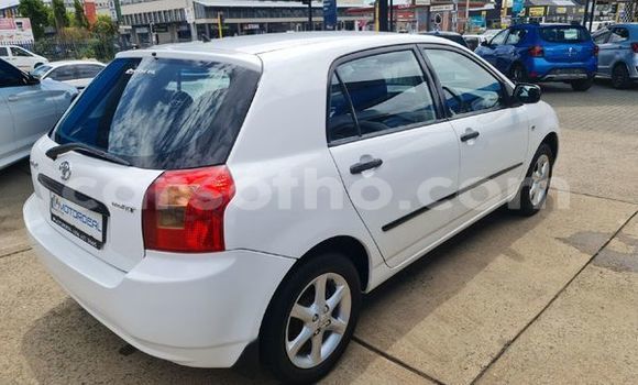اشتري مستعمل Toyota Runx White سيارة في Maseru في Maseru اشتري مستعمل Toyota Runx White سيارة في Maseru في Maseru