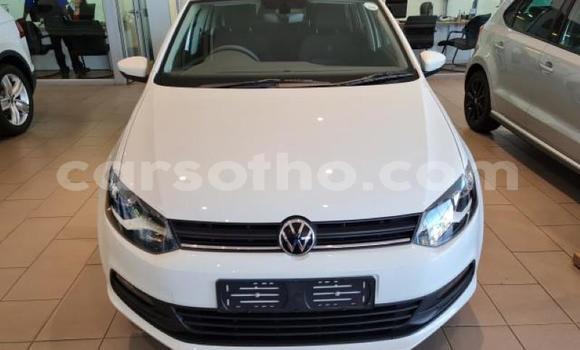 Buy Used Volkswagen Polo White Car in Maseru in Maseru Buy Used Volkswagen Polo White Car in Maseru in Maseru