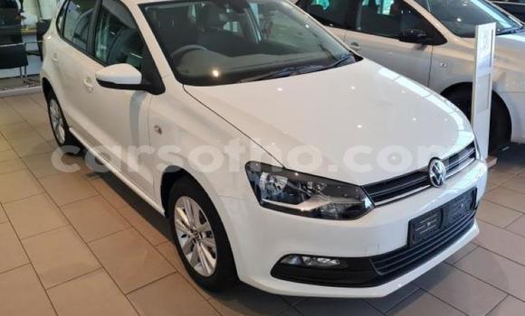 Buy Used Volkswagen Polo White Car in Maseru in Maseru Buy Used Volkswagen Polo White Car in Maseru in Maseru