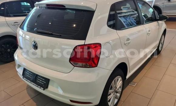Buy Used Volkswagen Polo White Car in Maseru in Maseru Buy Used Volkswagen Polo White Car in Maseru in Maseru