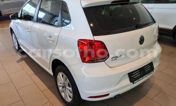 Buy Used Volkswagen Polo White Car in Maseru in Maseru Buy Used Volkswagen Polo White Car in Maseru in Maseru