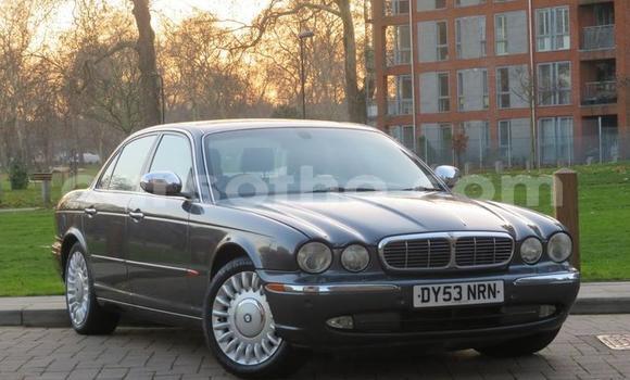 Sayi Na hannu Jaguar XJ Other Mota in Peka a Leribe Sayi Na hannu Jaguar XJ Other Mota in Peka a Leribe