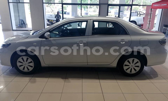 Acheter Occasion Voiture Toyota Corolla Gris à Maseru, Maseru Acheter Occasion Voiture Toyota Corolla Gris à Maseru, Maseru