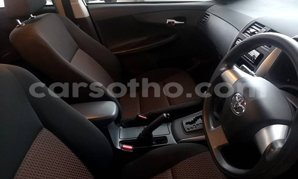 Acheter Occasion Voiture Toyota Corolla Gris à Maseru, Maseru Acheter Occasion Voiture Toyota Corolla Gris à Maseru, Maseru