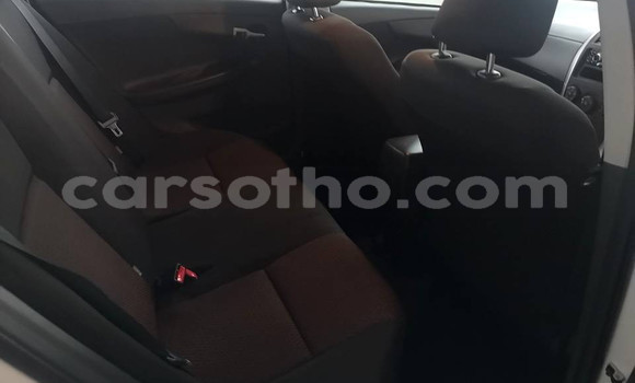 Acheter Occasion Voiture Toyota Corolla Gris à Maseru, Maseru Acheter Occasion Voiture Toyota Corolla Gris à Maseru, Maseru