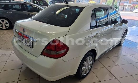 اشتري مستعمل Nissan Tiida White سيارة في Maseru في Maseru اشتري مستعمل Nissan Tiida White سيارة في Maseru في Maseru