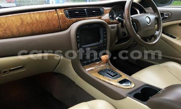 Sayi Na hannu Jaguar S–Type Black Mota in Qacha's Nek a Quthing Sayi Na hannu Jaguar S–Type Black Mota in Qacha's Nek a Quthing