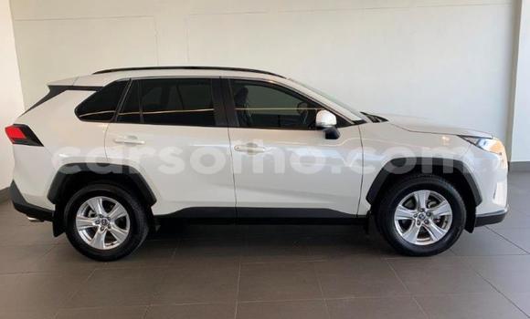 Sayi Na hannu Toyota RAV4 White Mota in Maseru a Maseru Sayi Na hannu Toyota RAV4 White Mota in Maseru a Maseru