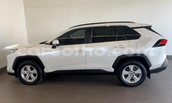 Sayi Na hannu Toyota RAV4 White Mota in Maseru a Maseru Sayi Na hannu Toyota RAV4 White Mota in Maseru a Maseru