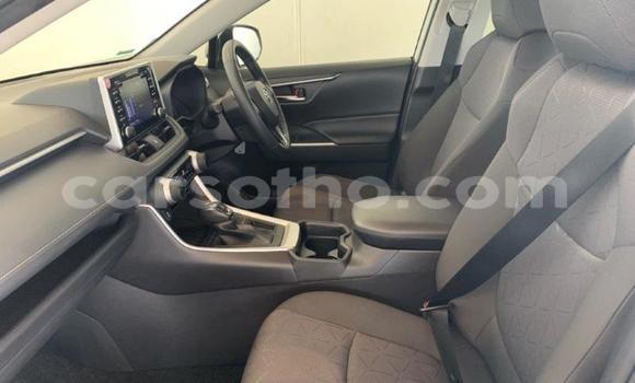 Sayi Na hannu Toyota RAV4 White Mota in Maseru a Maseru Sayi Na hannu Toyota RAV4 White Mota in Maseru a Maseru