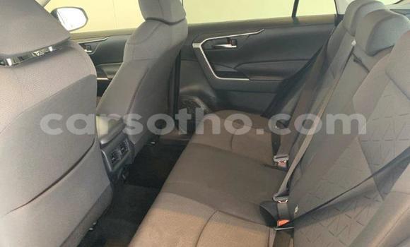 Sayi Na hannu Toyota RAV4 White Mota in Maseru a Maseru Sayi Na hannu Toyota RAV4 White Mota in Maseru a Maseru