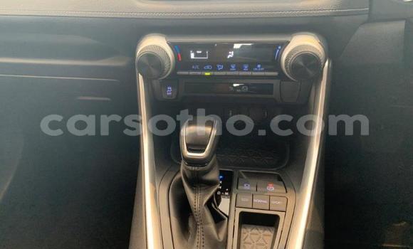 Sayi Na hannu Toyota RAV4 White Mota in Maseru a Maseru Sayi Na hannu Toyota RAV4 White Mota in Maseru a Maseru