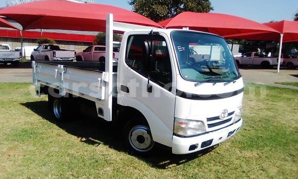 اشتري مستعمل Toyota Dyna White سيارة في Maseru في Maseru اشتري مستعمل Toyota Dyna White سيارة في Maseru في Maseru