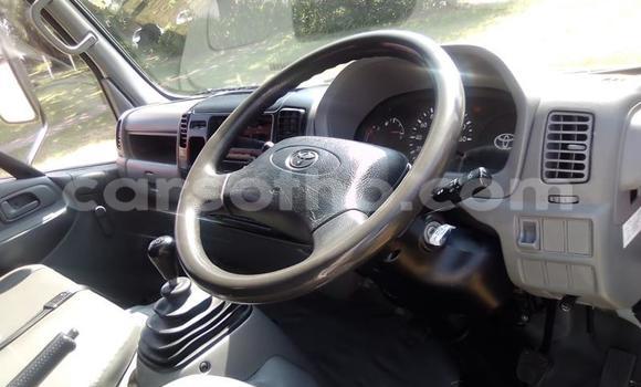 اشتري مستعمل Toyota Dyna White سيارة في Maseru في Maseru اشتري مستعمل Toyota Dyna White سيارة في Maseru في Maseru