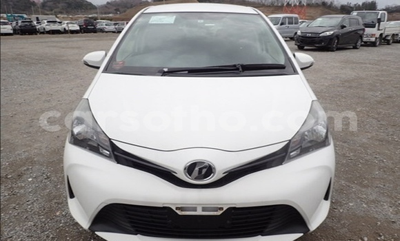 Buy Used Toyota Vitz White Car in Maseru in Maseru Buy Used Toyota Vitz White Car in Maseru in Maseru