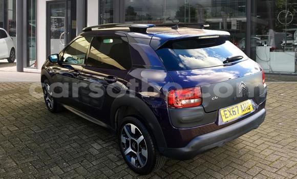 Buy Used Citroen C4 Cactus Other Car in Roma in Maseru Buy Used Citroen C4 Cactus Other Car in Roma in Maseru