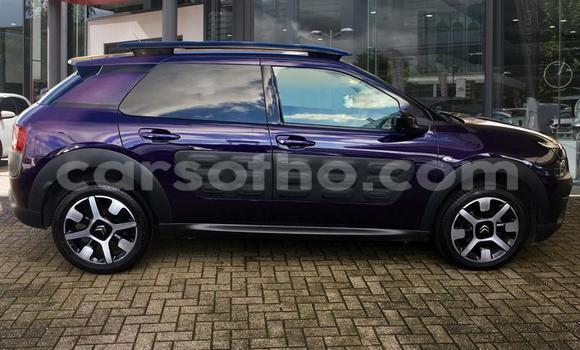Buy Used Citroen C4 Cactus Other Car in Roma in Maseru Buy Used Citroen C4 Cactus Other Car in Roma in Maseru