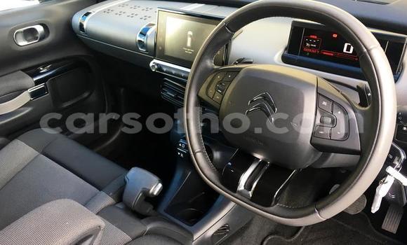 Buy Used Citroen C4 Cactus Other Car in Roma in Maseru Buy Used Citroen C4 Cactus Other Car in Roma in Maseru