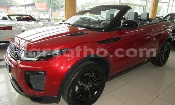 Sayi Na hannu Land Rover Range Rover Evoque Red Mota in ButhaโButhe a Thaba-Tseka Sayi Na hannu Land Rover Range Rover Evoque Red Mota in ButhaโButhe a Thaba-Tseka