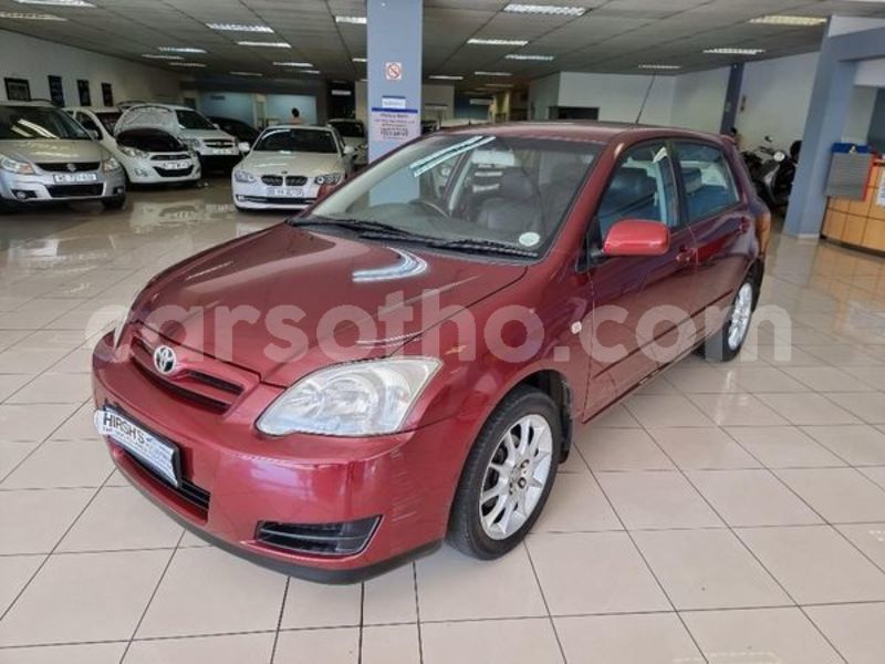 Big with watermark toyota runx maseru maseru 24481