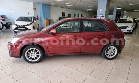 Acheter Occasion Voiture Toyota Runx Autre à Maseru, Maseru Acheter Occasion Voiture Toyota Runx Autre à Maseru, Maseru