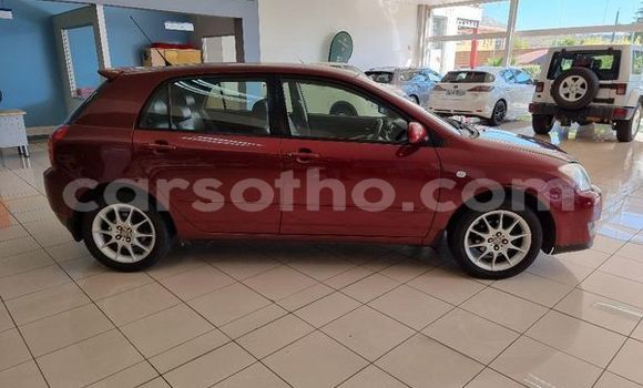 Acheter Occasion Voiture Toyota Runx Autre à Maseru, Maseru Acheter Occasion Voiture Toyota Runx Autre à Maseru, Maseru