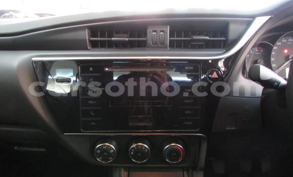Sayi Na hannu Toyota Corolla Silver Mota in Maseru a Maseru Sayi Na hannu Toyota Corolla Silver Mota in Maseru a Maseru