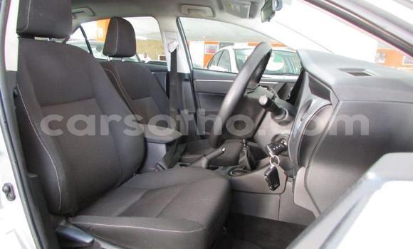 Sayi Na hannu Toyota Corolla Silver Mota in Maseru a Maseru Sayi Na hannu Toyota Corolla Silver Mota in Maseru a Maseru