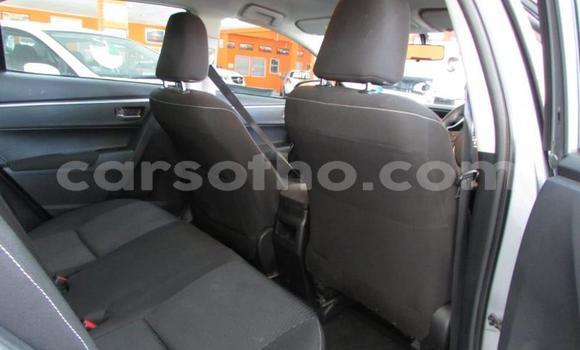 Sayi Na hannu Toyota Corolla Silver Mota in Maseru a Maseru Sayi Na hannu Toyota Corolla Silver Mota in Maseru a Maseru