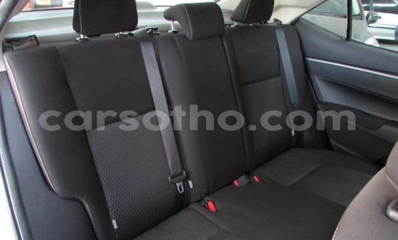 Sayi Na hannu Toyota Corolla Silver Mota in Maseru a Maseru Sayi Na hannu Toyota Corolla Silver Mota in Maseru a Maseru