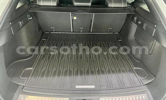 Buy Used Land Rover Range Rover Velar White Car in Butha Buthe in Butha-Buthe Buy Used Land Rover Range Rover Velar White Car in Butha Buthe in Butha-Buthe