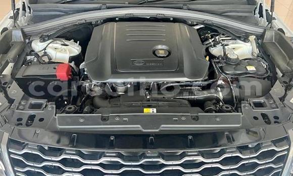 Buy Used Land Rover Range Rover Velar White Car in Butha Buthe in Butha-Buthe Buy Used Land Rover Range Rover Velar White Car in Butha Buthe in Butha-Buthe