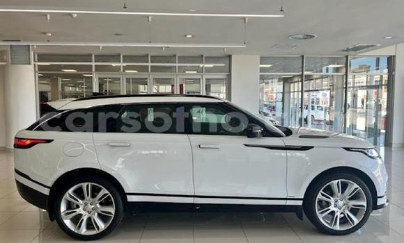 Buy Used Land Rover Range Rover Velar White Car in Butha Buthe in Butha-Buthe Buy Used Land Rover Range Rover Velar White Car in Butha Buthe in Butha-Buthe