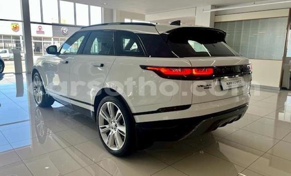 Buy Used Land Rover Range Rover Velar White Car in Butha Buthe in Butha-Buthe Buy Used Land Rover Range Rover Velar White Car in Butha Buthe in Butha-Buthe