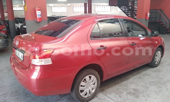 Buy Used Toyota Yaris Other Car in Maseru in Maseru Buy Used Toyota Yaris Other Car in Maseru in Maseru