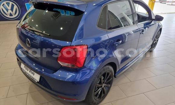Buy Used Volkswagen Polo Blue Car in Maseru in Maseru Buy Used Volkswagen Polo Blue Car in Maseru in Maseru