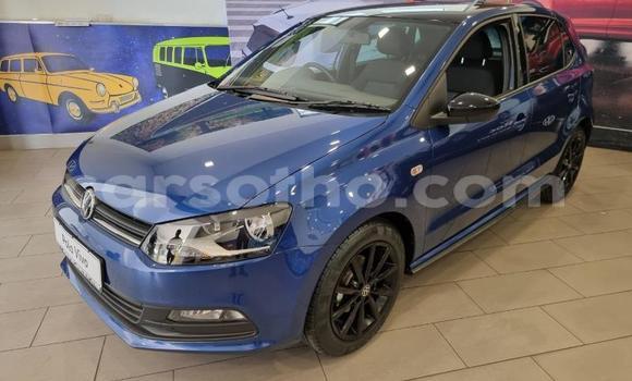 Buy Used Volkswagen Polo Blue Car in Maseru in Maseru Buy Used Volkswagen Polo Blue Car in Maseru in Maseru