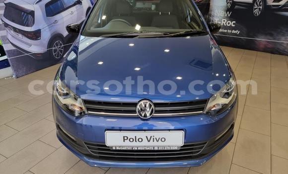 Buy Used Volkswagen Polo Blue Car in Maseru in Maseru Buy Used Volkswagen Polo Blue Car in Maseru in Maseru