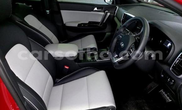 اشتري مستعمل Kia Sportage Red سيارة في Maseru في Maseru اشتري مستعمل Kia Sportage Red سيارة في Maseru في Maseru
