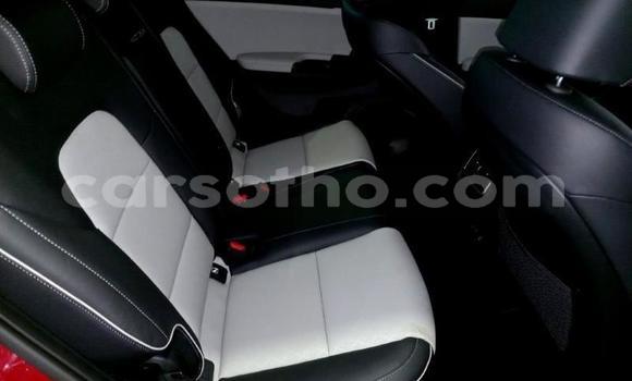 اشتري مستعمل Kia Sportage Red سيارة في Maseru في Maseru اشتري مستعمل Kia Sportage Red سيارة في Maseru في Maseru
