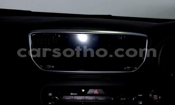 اشتري مستعمل Kia Sportage Red سيارة في Maseru في Maseru اشتري مستعمل Kia Sportage Red سيارة في Maseru في Maseru