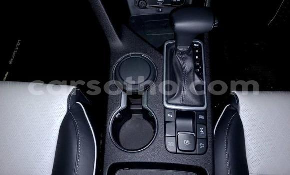 اشتري مستعمل Kia Sportage Red سيارة في Maseru في Maseru اشتري مستعمل Kia Sportage Red سيارة في Maseru في Maseru