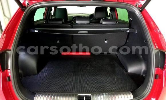 اشتري مستعمل Kia Sportage Red سيارة في Maseru في Maseru اشتري مستعمل Kia Sportage Red سيارة في Maseru في Maseru